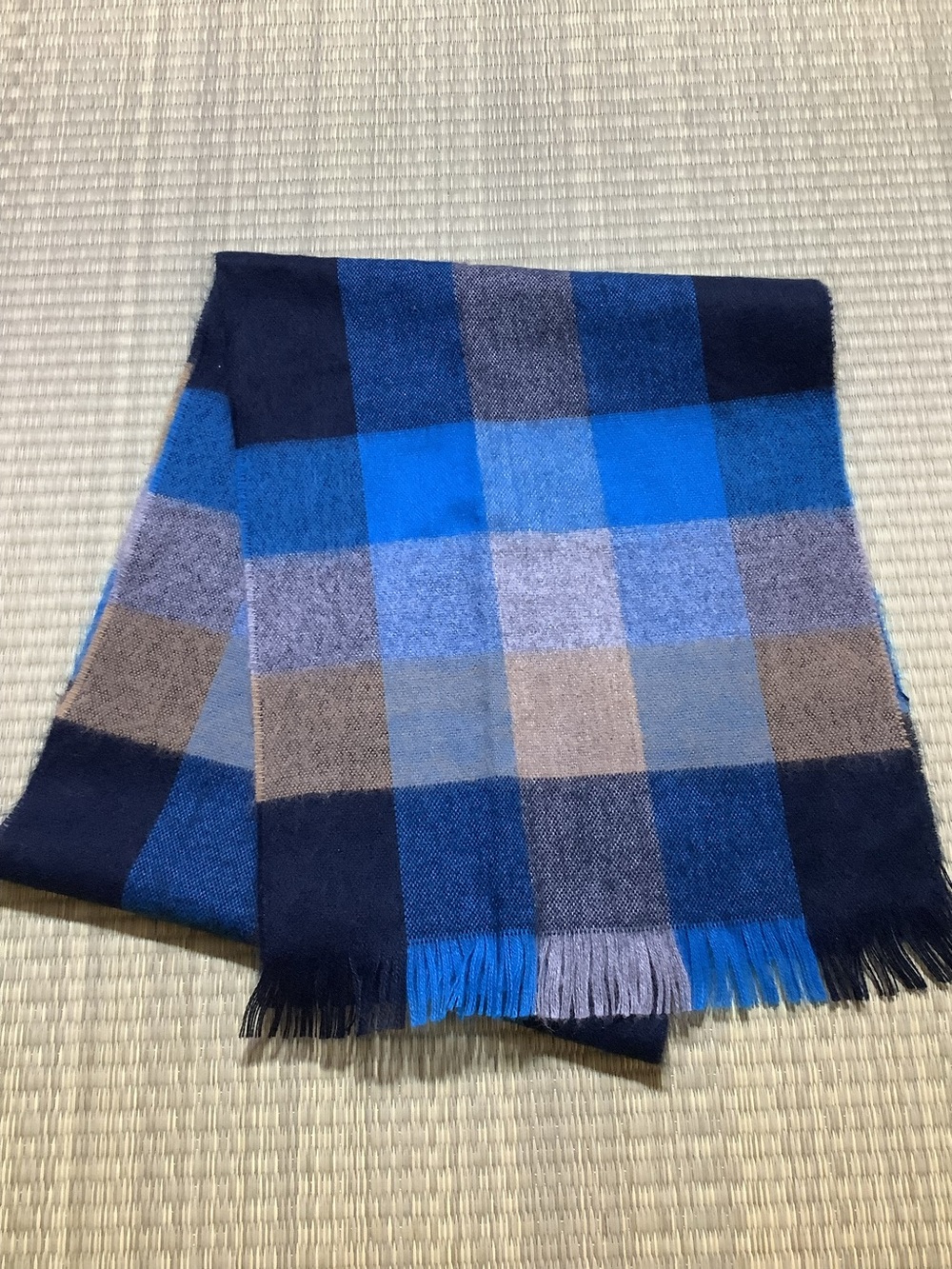 Halston Heritage Blue Multi-Check Men's Scarf